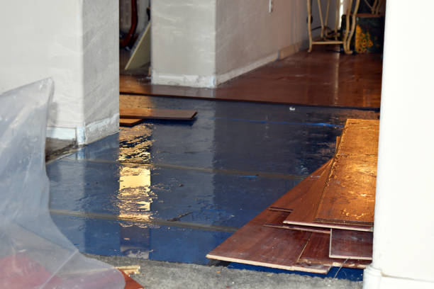 Professional Burst Pipe Cleanup technician working in East Waterboro, ME